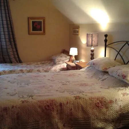 White Swan Отель типа 