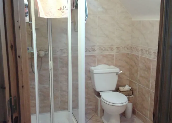 B&B White Swan Sherlockstown